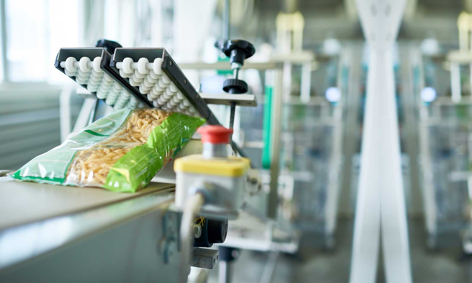 Food Processing Machines
