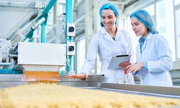Value Added Services From Food Processing Line Equipment Manufacturers