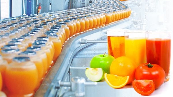 Invest in Quality From Top Fruit Processing Machines Manufacturers