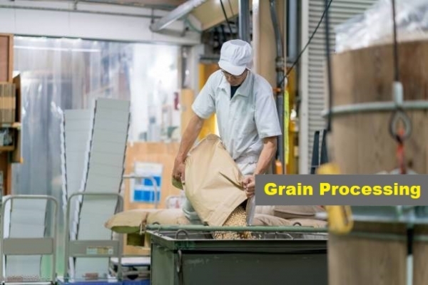 Grain Processing - Undeniable Benefits of Including Processed Grains in Diet
